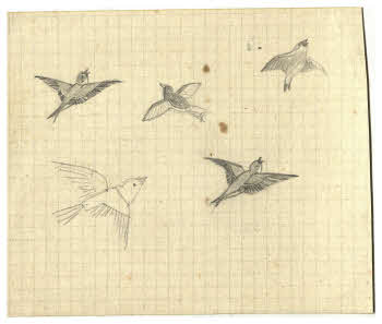 Visualizza l'immagine "FD D 249"